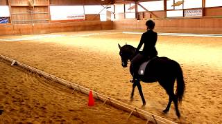 Working Equitation Turnier Freystadt 2017 - Dressur Klasse L, Lisa Weingarten