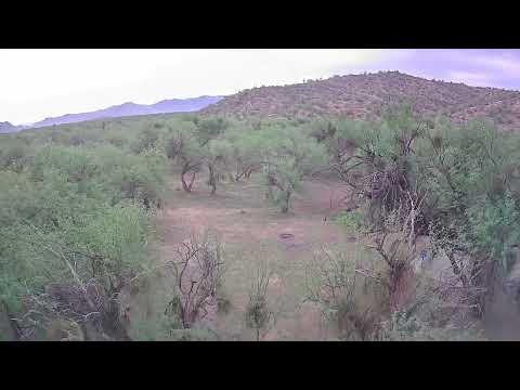 Coon Bluff Salt river