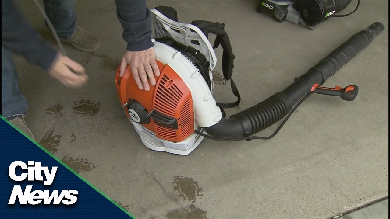 Petition calls to ban the use of gas-powered leaf blowers across Calgary