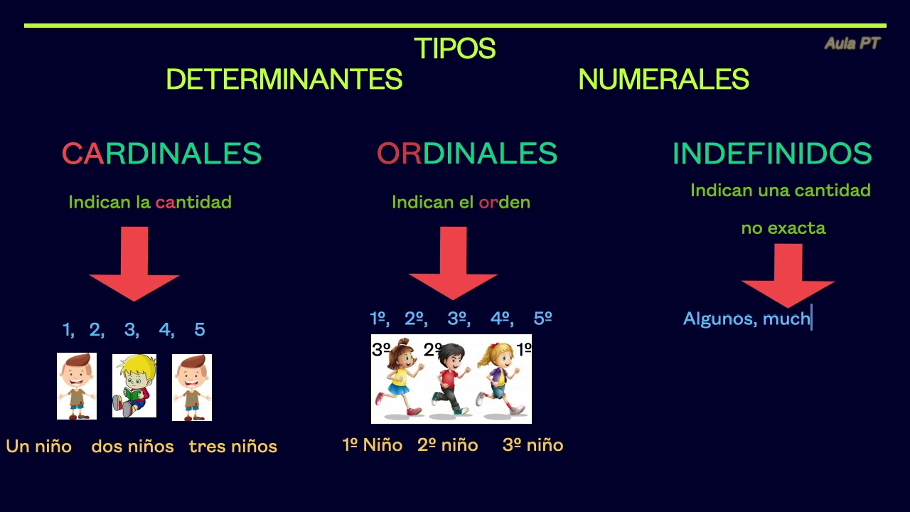 Los Determinantes Numerales Youtube