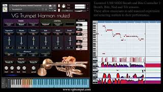 VG Trumpet Harmon muted sample library for NI Kontakt and TEControl Breath controller. Brass VST.
