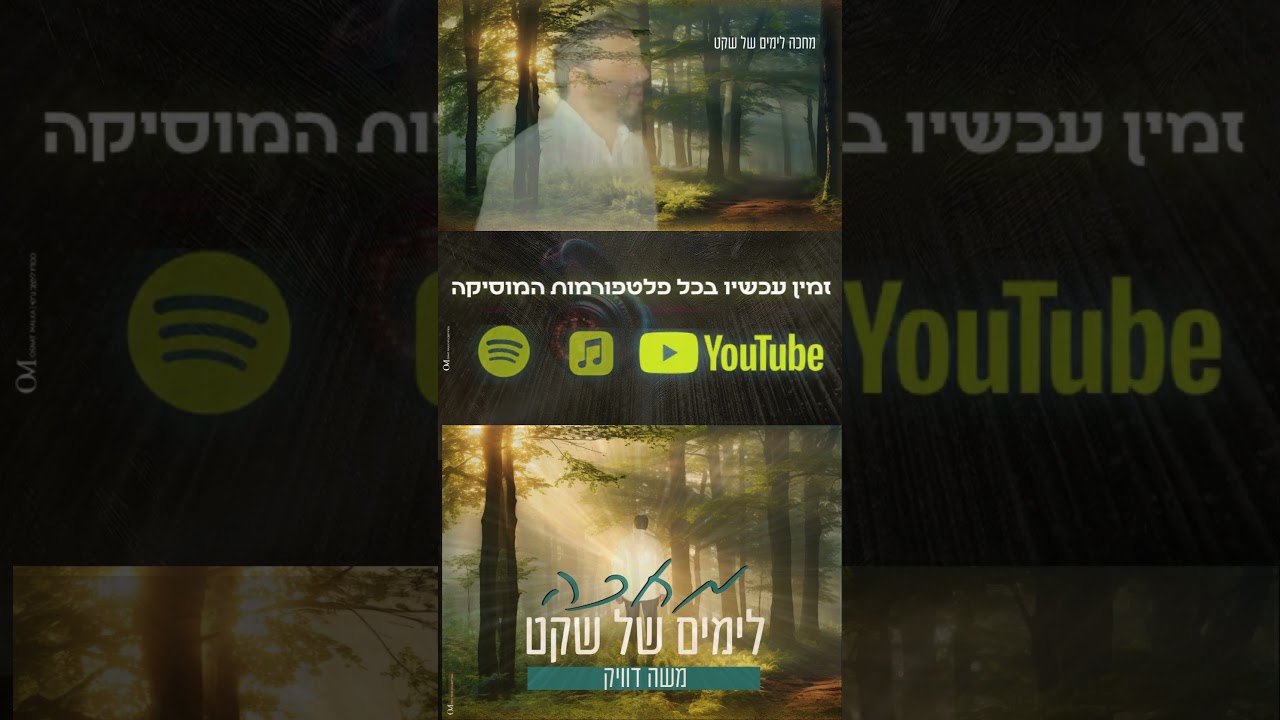 משה דוויק - מחכה לימים של שקט #song #singing #music #אהבתישראל #עםישראלחי #newsong #משהדוויק