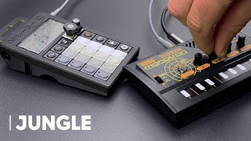 Tiny Setup, HUGE Sound: Jungle with the PO-33 KO! + Monotron Delay
