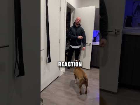 She hid all her tattoos for him