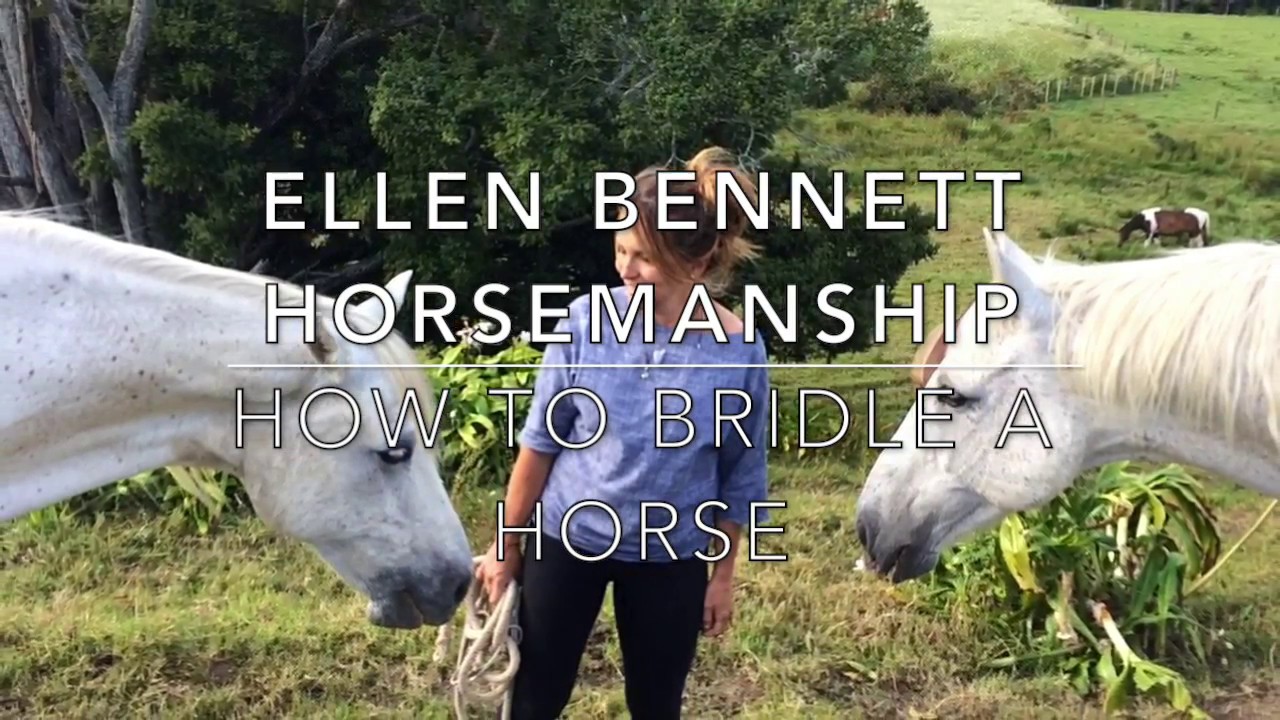 How to bridle a horse YouTube