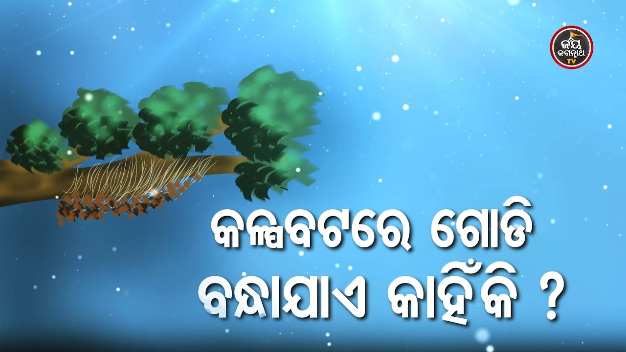 Kalpabata Re Godi Bandhajae Kanhiki ? - କଳ୍ପବଟରେ ଗୋଡି ବନ୍ଧାଯାଏ କାହିଁକି ? - ବ୍ୟାଖ୍ୟା-ସୋମ୍ୟରଞ୍ଜନ ପଣ୍ଡା