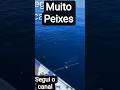 pescaria radical _ pescaria Nutela _pescarias motal