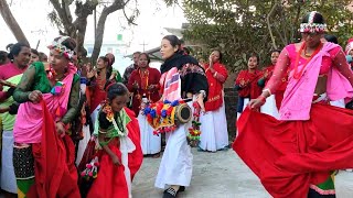 New Tharu Dance Video (Tulsipur 8 Dudhena Dang Nepal) || Sakhiya Ho_Tharu Nach_Tharu Culture Dang||