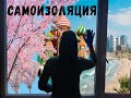 Как проходит самоизоляция и какие ограничения в Японии, Израиле и Москве глазами местных жителей