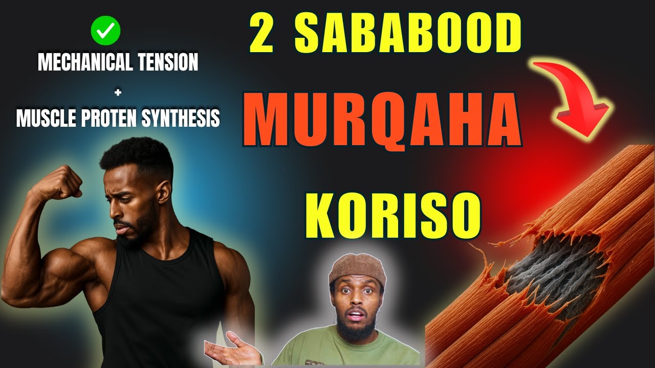 2daab Sir Hadii Aad Fahanto Murqahaaga 3 Bil Ayeey Isku Bedelayaan (science based)