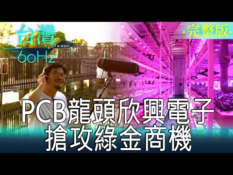 【台灣60Hz】PCB龍頭欣興電子 搶攻綠金商機｜廖慶學 2023.04.30 完整版