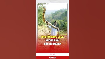 Rắn hổ mang chúa, không phải rắn hổ mang