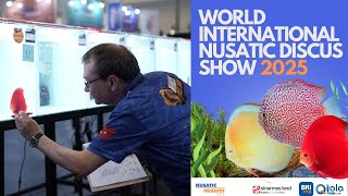 WORLD INTERNATIONAL NUSATIC DISCUS SHOW 2025 |  NUSATIC NUSAPET 2025
