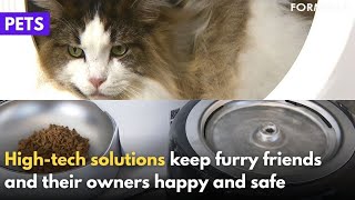 Companies eyeing high-tech pet products as cat ownership spikes|Taiwan News