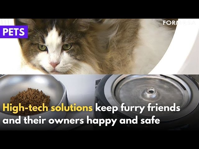 Companies eyeing high-tech pet products as cat ownership spikes｜Taiwan News
