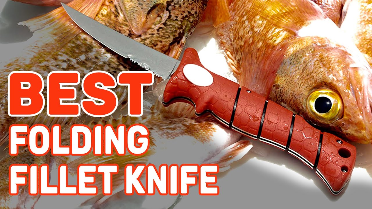 Foldable Fillet Best Folding Fillet Knife in 2022 – An Useful Guide to Watch! - YouTube