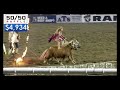 Flaming Hoop Jump On Mini Horses by 8-Year-Old