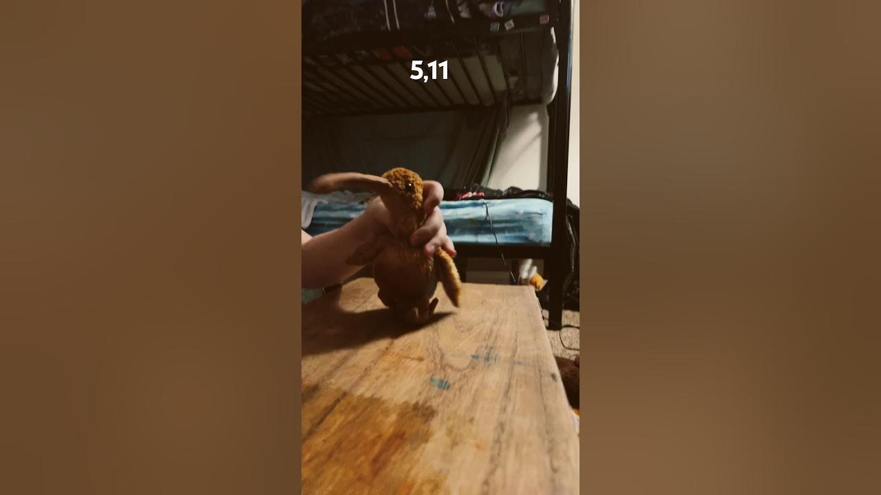5-11-vs-6-0-youtube