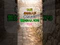 🌿70代, 幸せな人が絶対そばに置かない人 TOP3 ✨