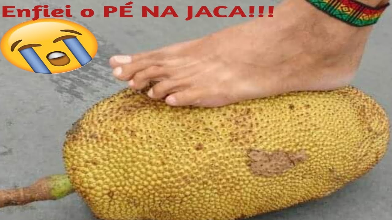 Enfiei o pé na JACA!!!!! E AGORA?? - YouTube