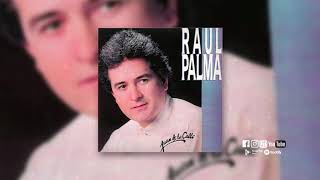 Raúl Palma - Juan de la Calle (Full Album)