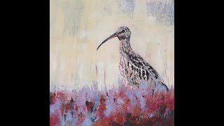 Curlew Time-lapse