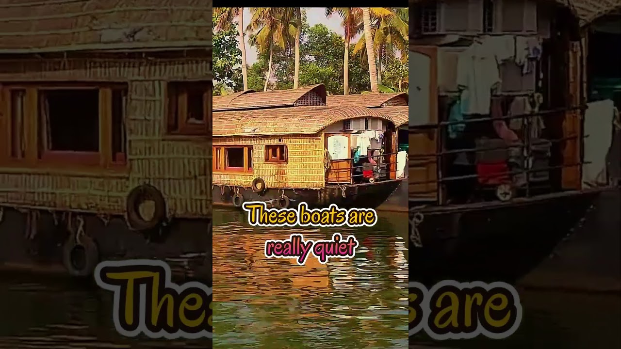 #cruising the inland #waterways of #kerela #india