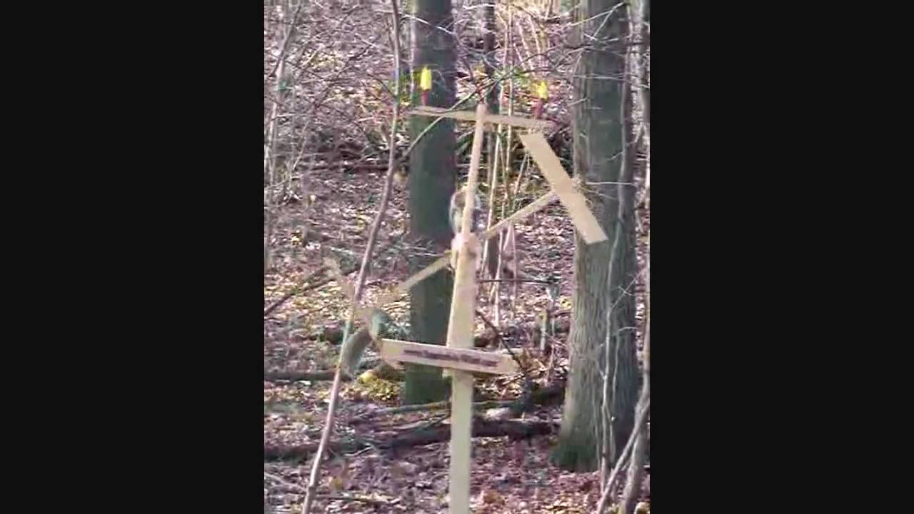 The Squirrel A Whirl Tm Squirrel Feeder Youtube