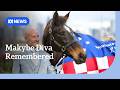 Triple Melbourne Cup winner Makybe Diva dead at 27 | ABC NEWS