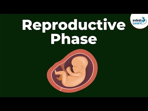 Reaching Adolescence - Reproductive Phase | Don&rsquo;t Memorise