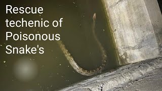 The Indian python (Python molurus) is a large python species native to tropical and ...￼