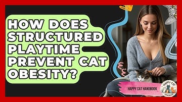 How Does Structured Playtime Prevent Cat Obesity? - Happy Cat Handbook