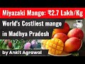 World's most expensive mango MIYAZAKI sold for Rs 2.7 Lakh per kilo - Agriculture Current Affairs