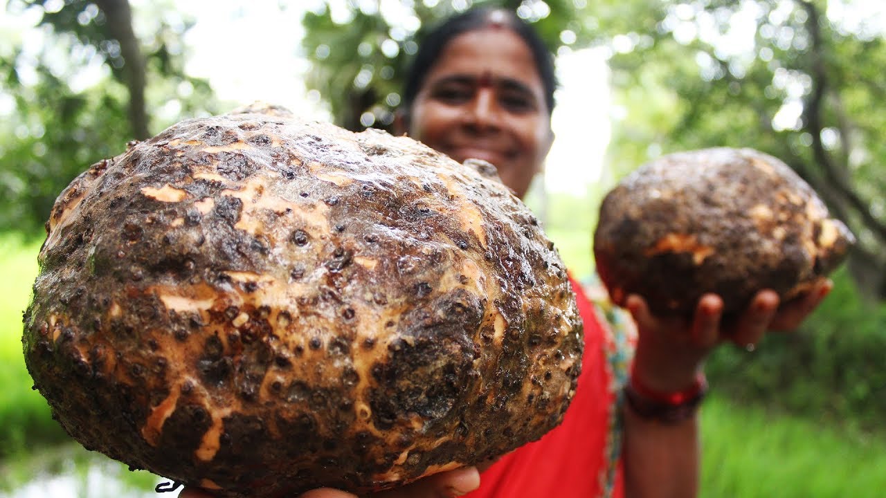 How to Cook Elephant Foot Curry || Kanda Pulusu Recipe in Telugu || Myna Street Food