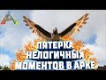 ПЯТЬ НЕЛОГИЧНЫХ МОМЕНТОВ В АРКЕ