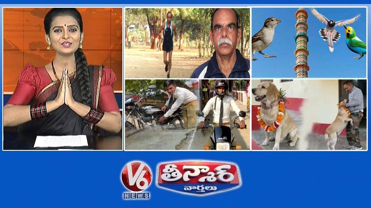 62 Year Old Man Running 75 Feet Tower For Birds Boy Invented