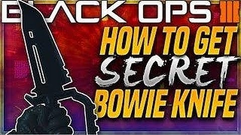 HOW TO GET THE BOWIE KNIFE IN MULTIPLAYER AFTER ALL PATCHES
