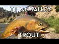 Teton Valley Trout | Ultimate Idaho Fly Fishing