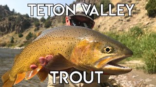 Teton Valley Trout | Ultimate Idaho Fly Fishing