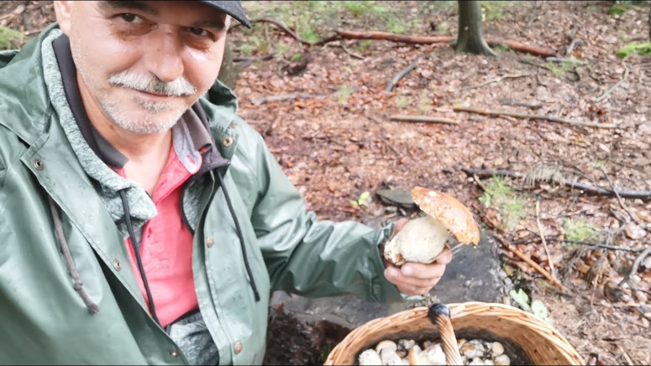 86  Prawdziwków, młode, zdrowe mój tegoroczny rekord.