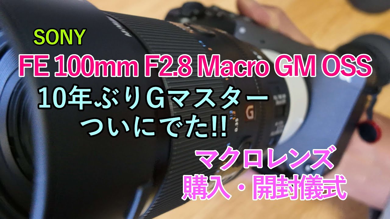 マクロレンズ購入開封儀式  # FE 100mm F2.8 Macro GM OSS #cinemalinefx2    #SONY  #α7siii   #最短撮影距離0.26