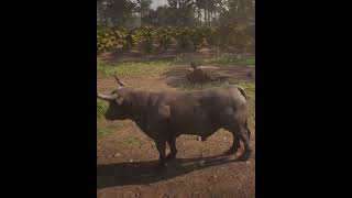 learn more great survival skill #gaming #rdr2
