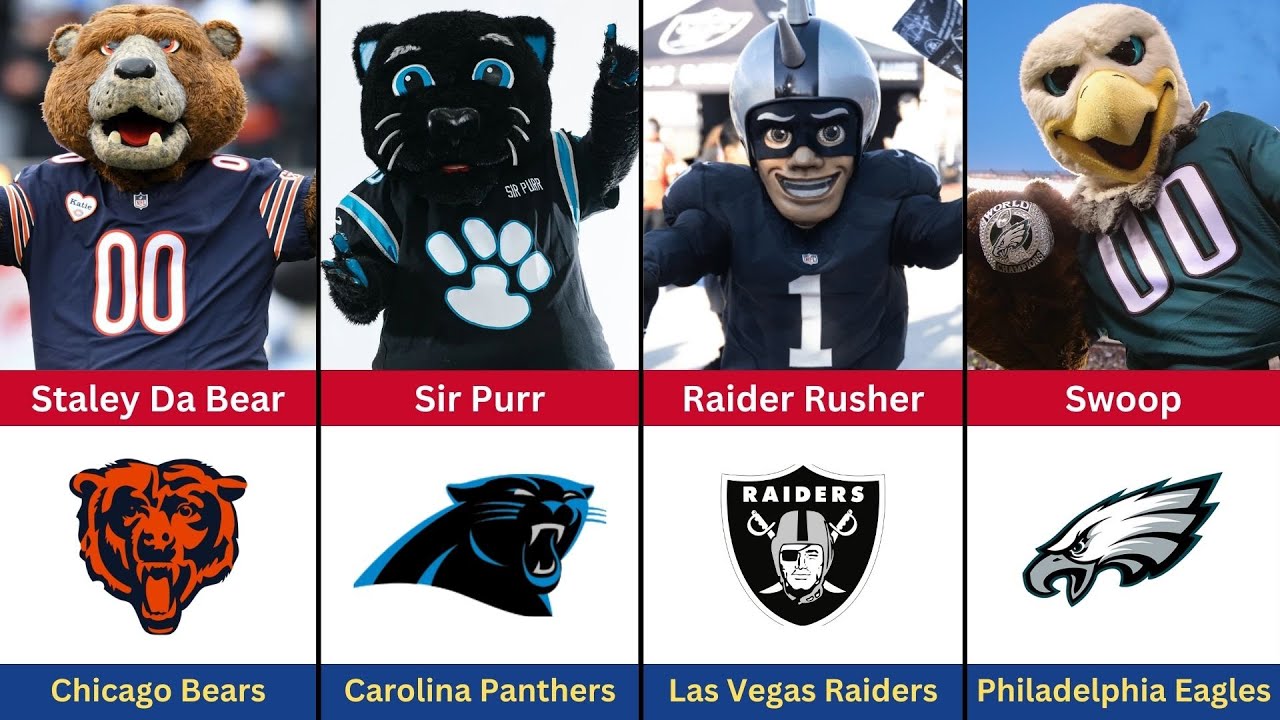 Every NFL Teams Mascots
