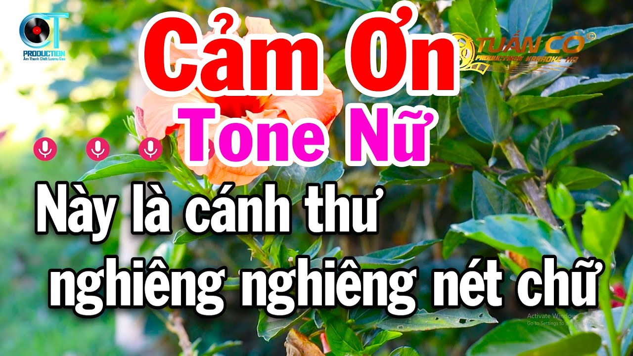 Karaoke Cảm Ơn Tone Nữ Nhạc Vàng Dễ Hát 2026 Tuấn Cò