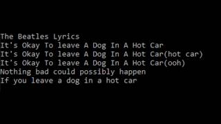 Video thumbnail of "The Beatles - Its ok to leave a dog in a hot car"