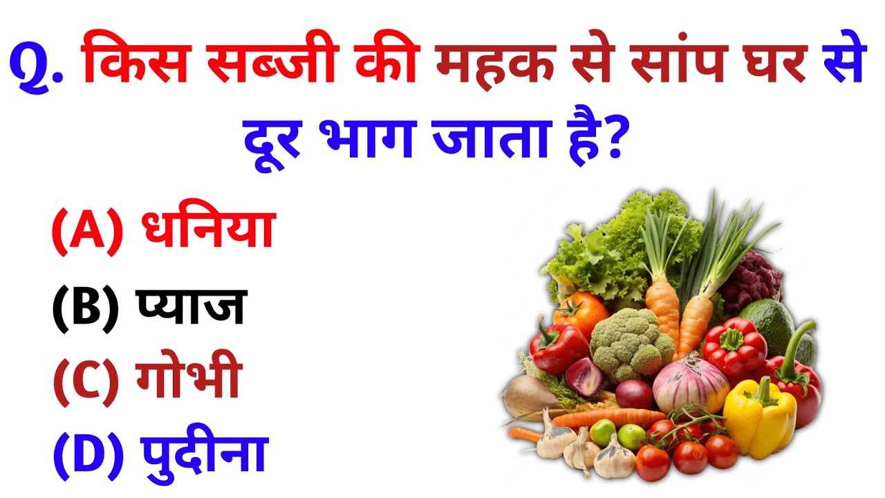 GK Question || GK in Hindi || GK Question and Answer || GK Quiz || Rochak Gk Quiz