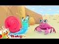 Mr snail at the beach   sea crab and summer fun  cartoons for kids  babytv