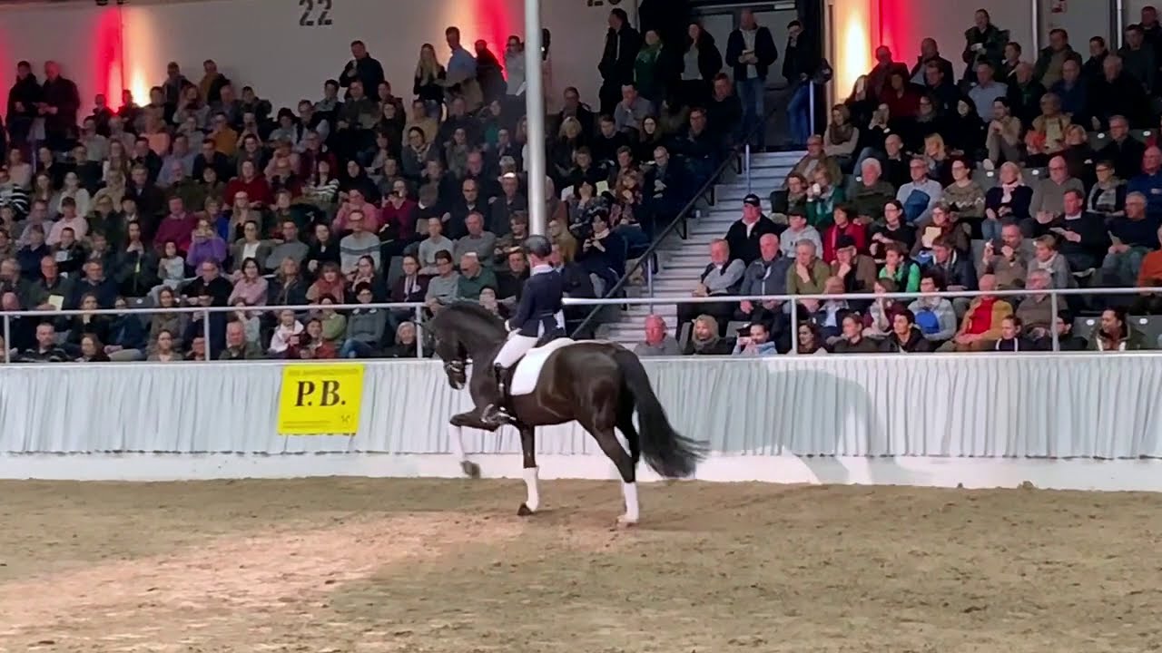 Secret und Jessica Lynn Thomas - 30. PB-Schau 2020 in Verden