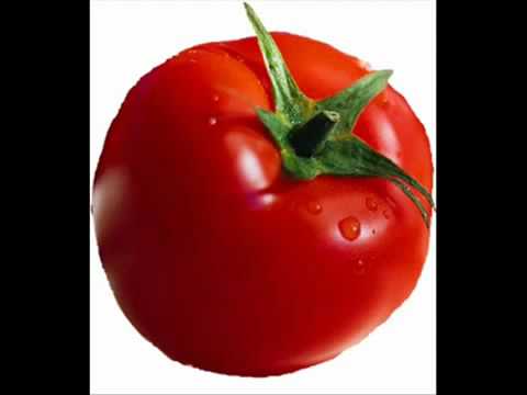 شعبان عبد الرحيم يغني للطماطم