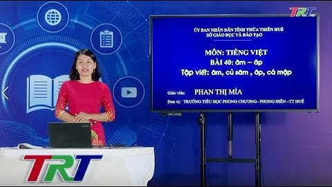 Tiếng Việt lớp 1 (Cánh diều)- Bài 40: Học vần âm, âp; Tập viết: âm, củ sâm, âp, cá mập